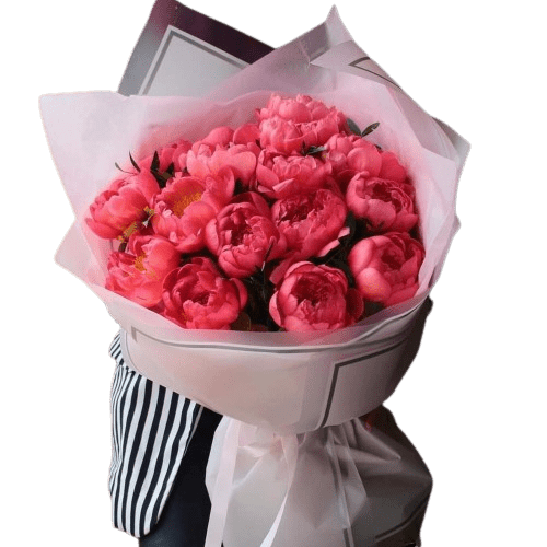 Peonies - Best Online Flower Delivery - Flowers of Dubai Peonies Flowers Bouquets - Peonies - Flowers of Dubai
