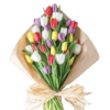 Garden of Tulips