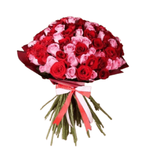 Red and Pink 101 Roses Bunch - Mothers Day - Flowers of Dubai