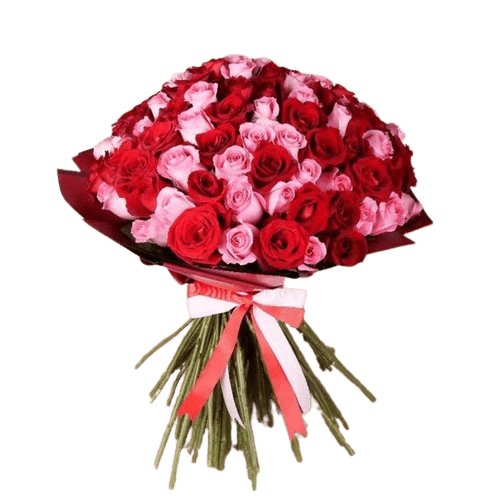 Mothers Day - Best Online Flower Delivery - Flowers of Dubai Red and Pink 101 Roses Bunch - Mothers Day - Flowers of Dubai